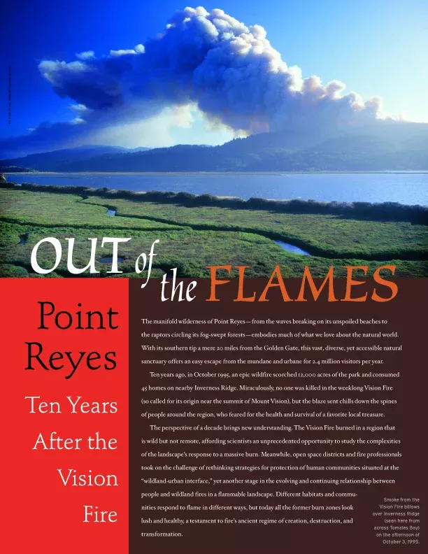 out-flames-point-reyes-ten-years-after-vision-fire Out of the Flames: Point Reyes, Ten Years After the Vision Fire