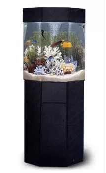 P-5 Pentaview Pentagon AquaCustom Aquarium