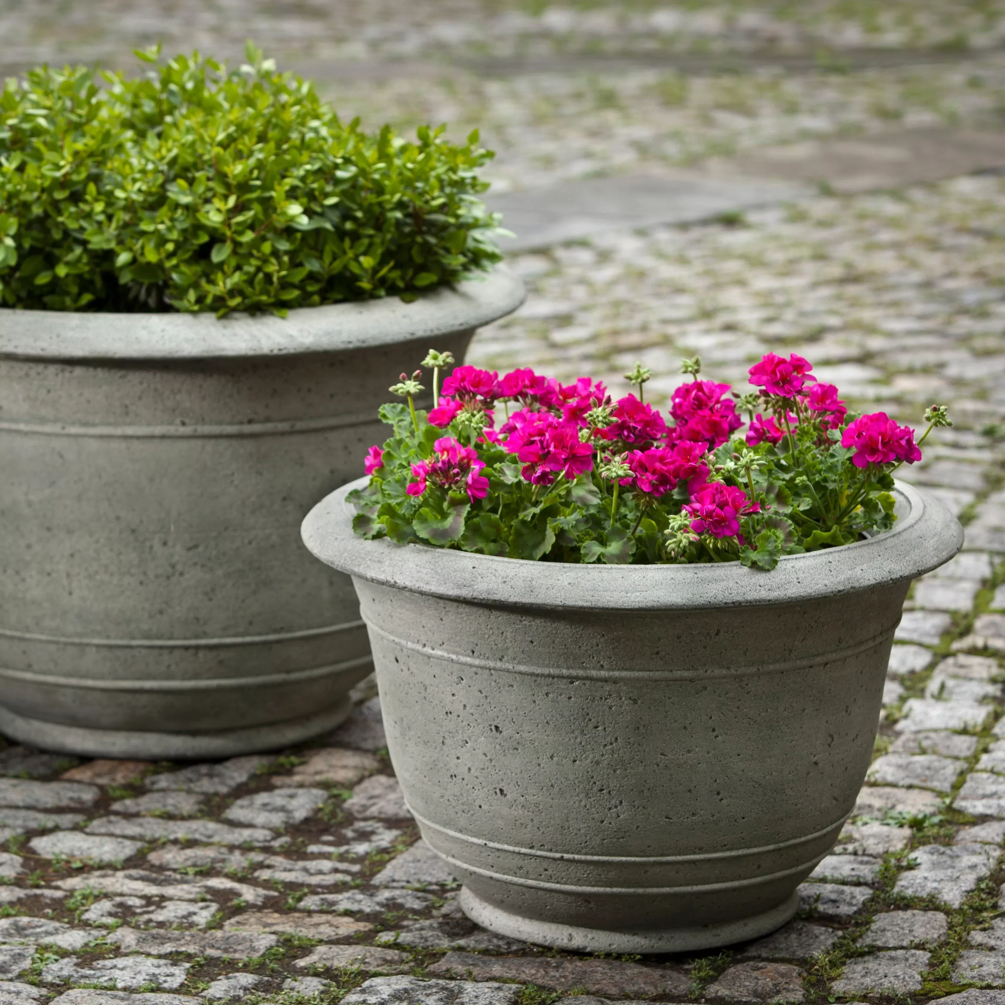 Padova Medium Planter by Campania International
