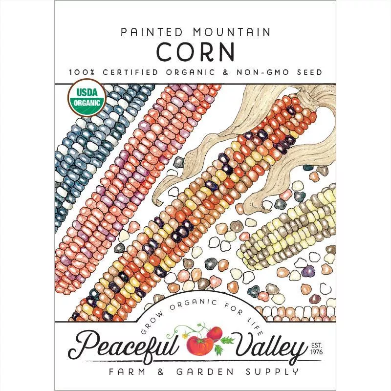 painted-mountain-corn-seeds-organic Painted Mountain Corn Seeds (Organic)
