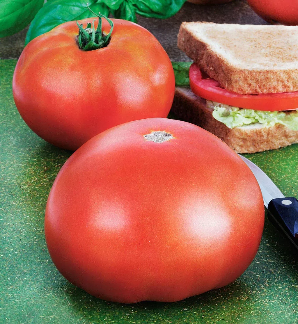 Park's Whopper Improved Tomato (2 Pack)