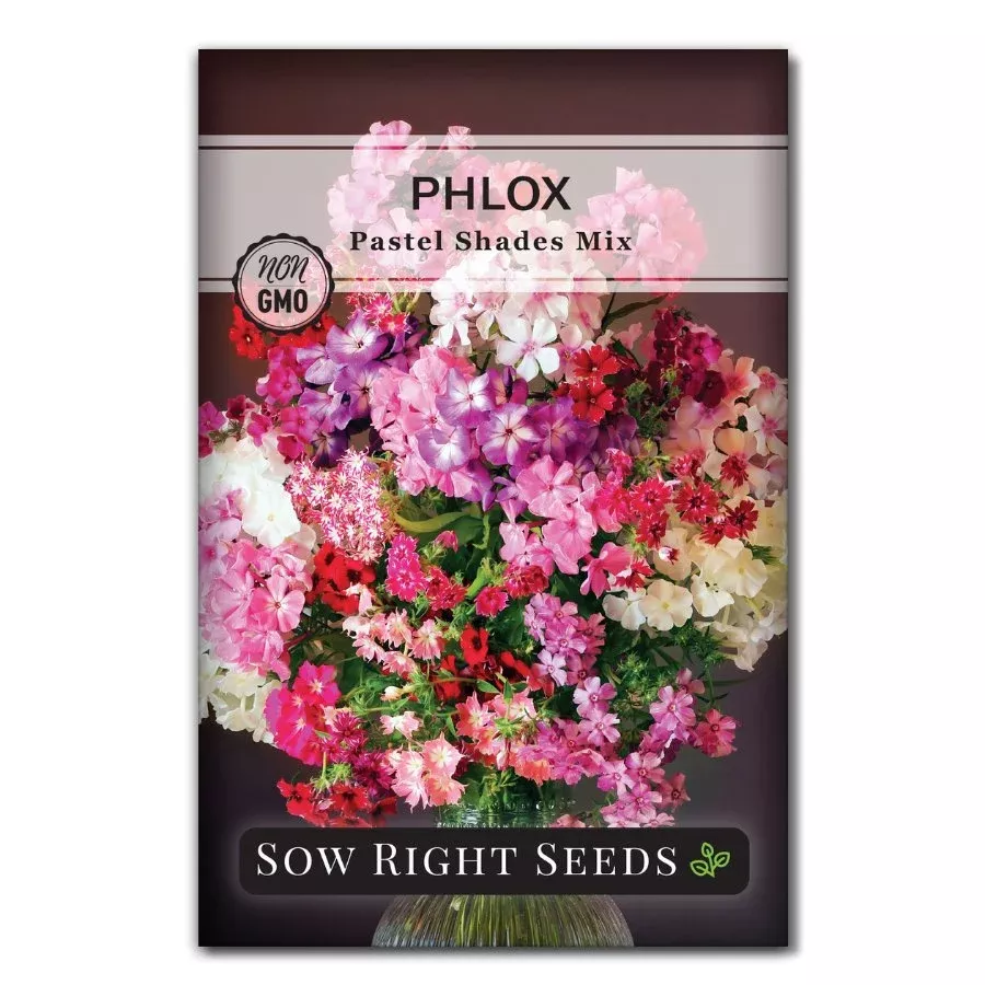pastel-shades-mixed-phlox Pastel Shades Mixed Phlox