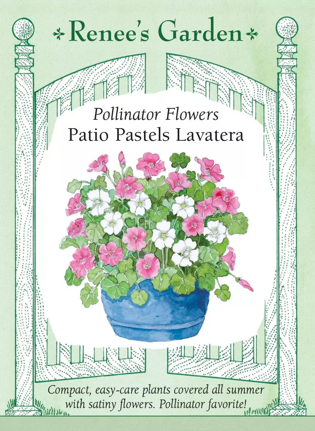 patio-pastels-lavatera Patio Pastels Lavatera