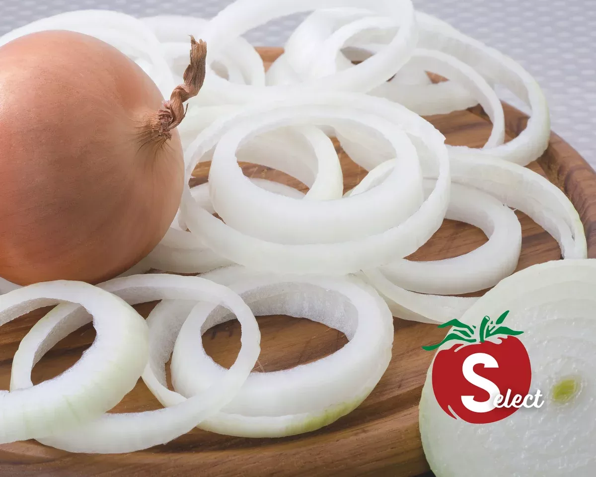 patterson-hybrid-onion-seeds Patterson Hybrid Onion Seeds
