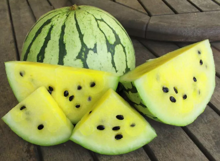 Peace Yellow-Fleshed Watermelon