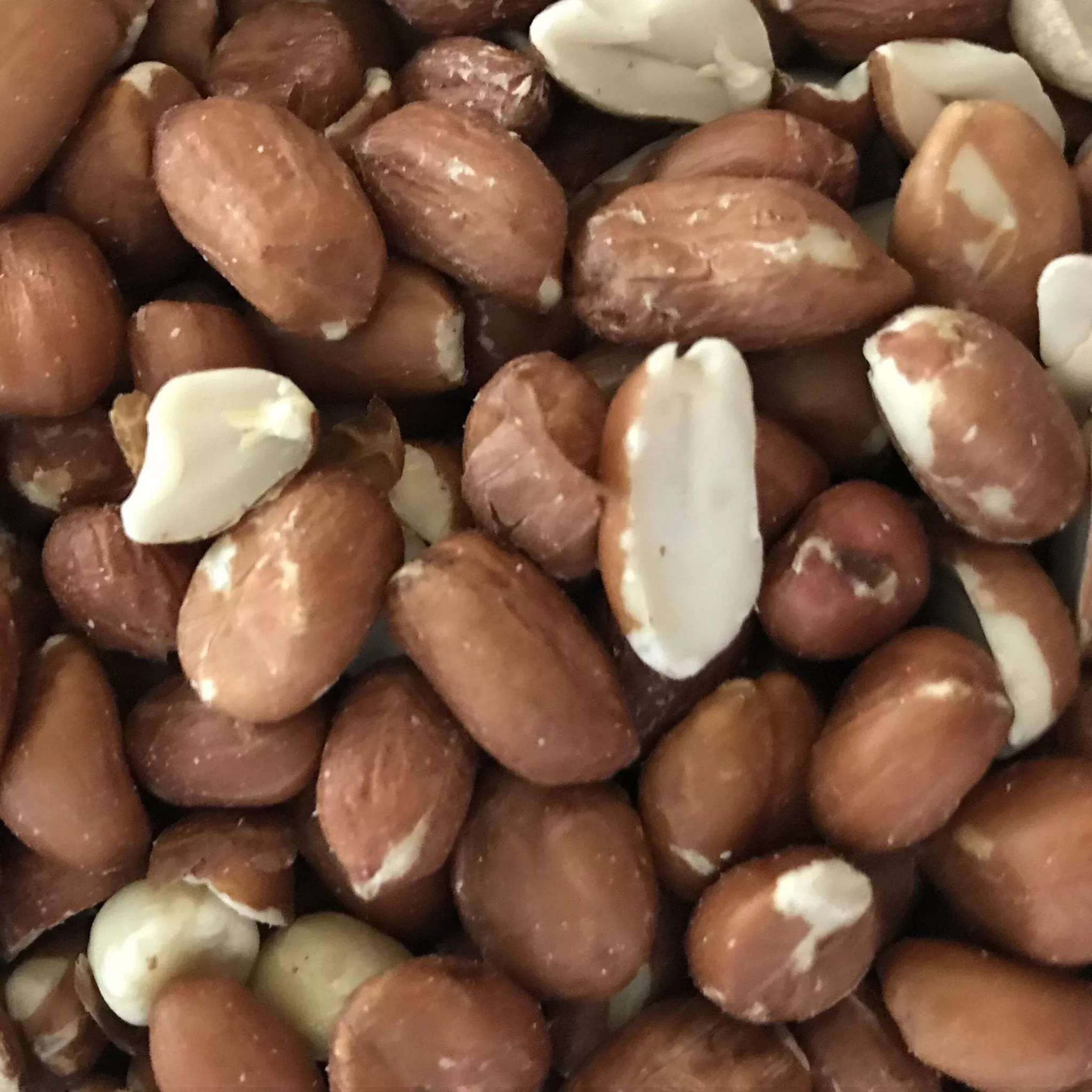 Peanuts Out of Shell [4 sizes]