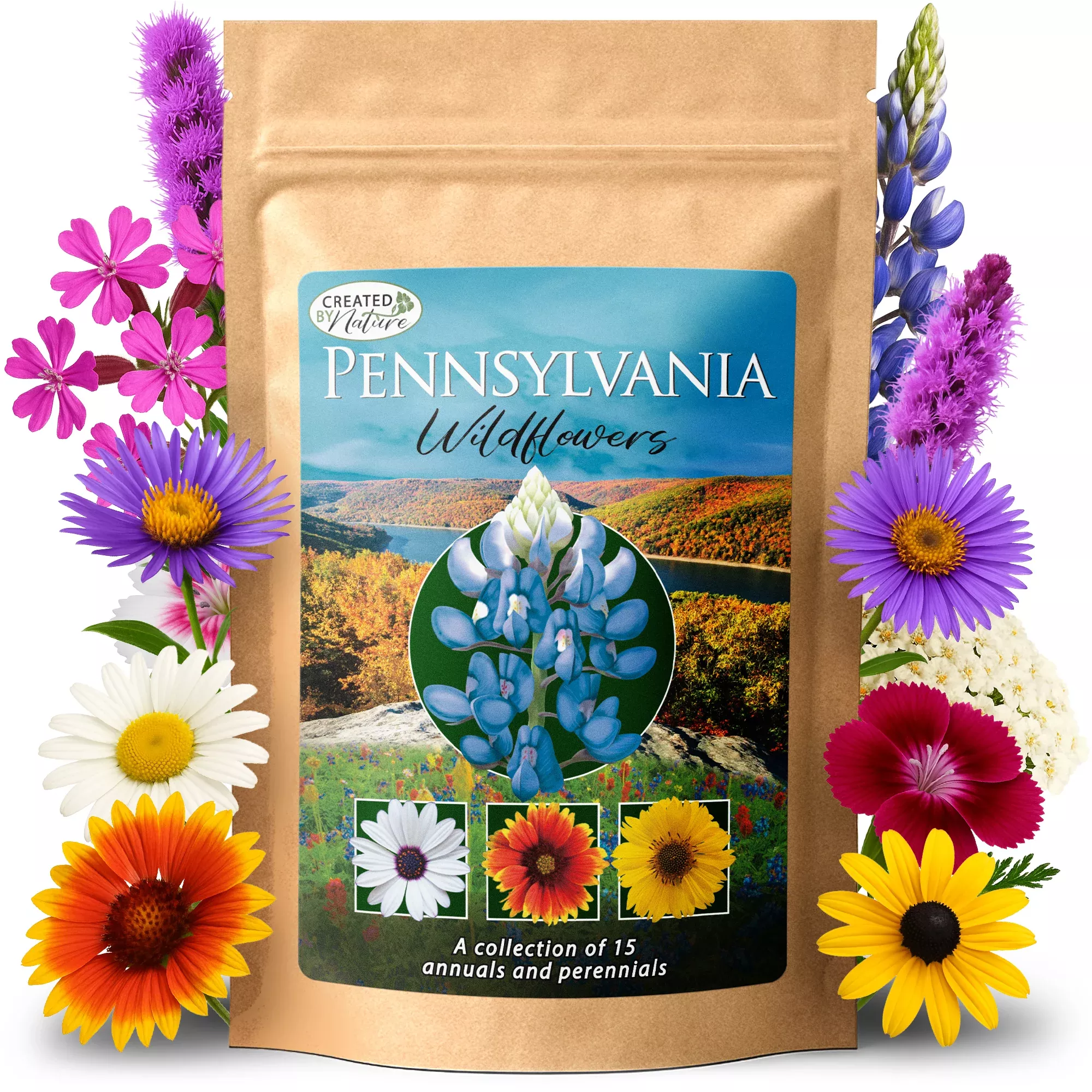 pennsylvania-wildflower-seed-mix Pennsylvania Wildflower Seed Mix