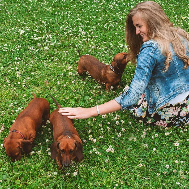pet-paradise-lawn-seed-mix Pet Paradise Lawn Seed Mix