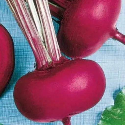 piatta-d-egitto-beet-seeds Piatta D'Egitto Beet Seeds