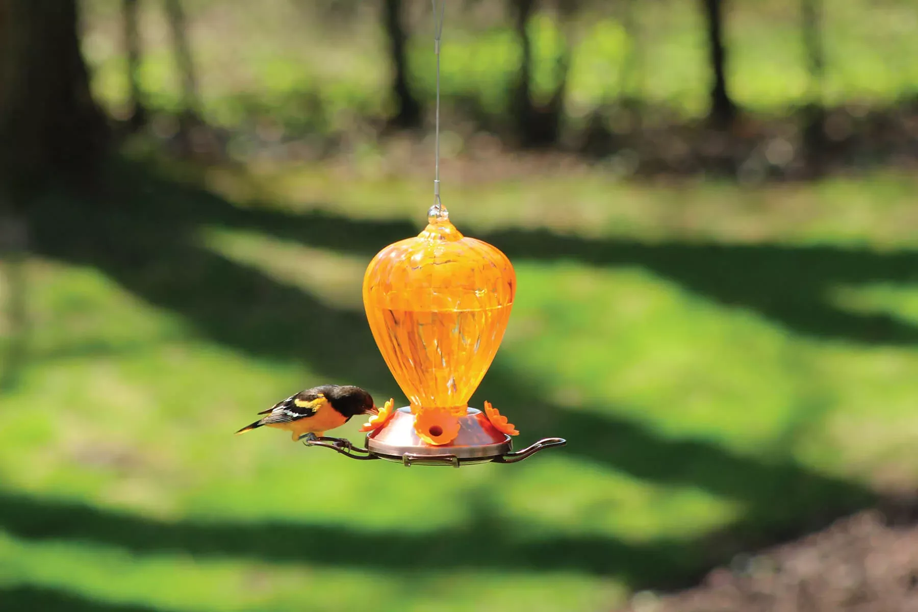pinebush-art-glass-oriole-feeder Pinebush Art Glass Oriole Feeder