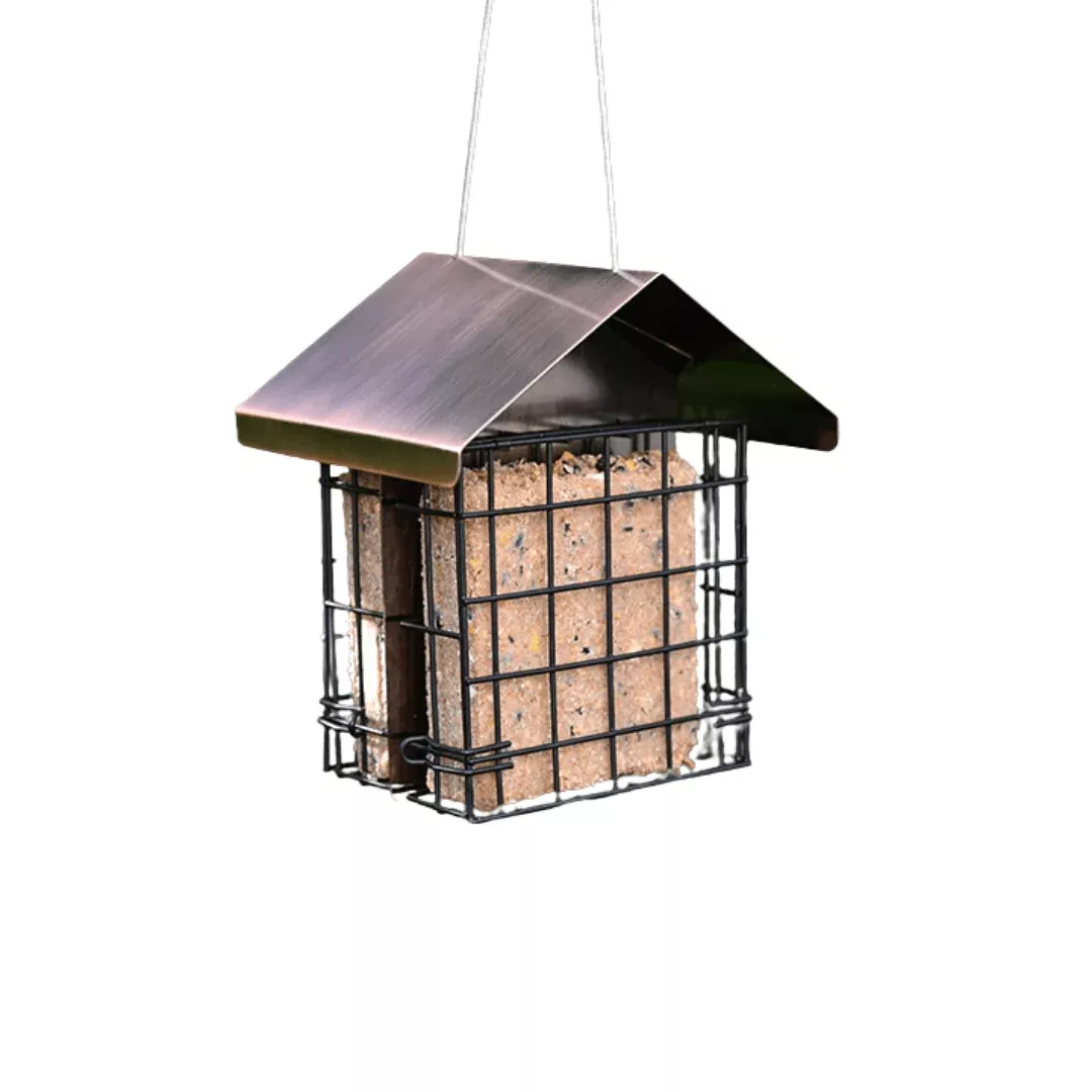 pinebush-regal-style-double-suet-cake-feeder Pinebush Regal Style Double Suet Cake Feeder