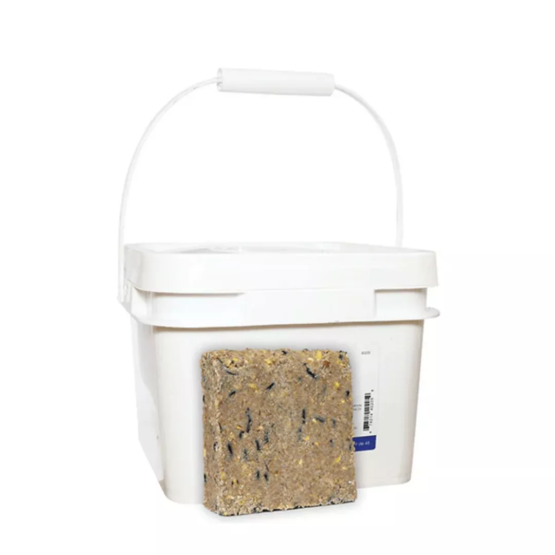 Pinebush Seed Suet Cakes Tub of 20