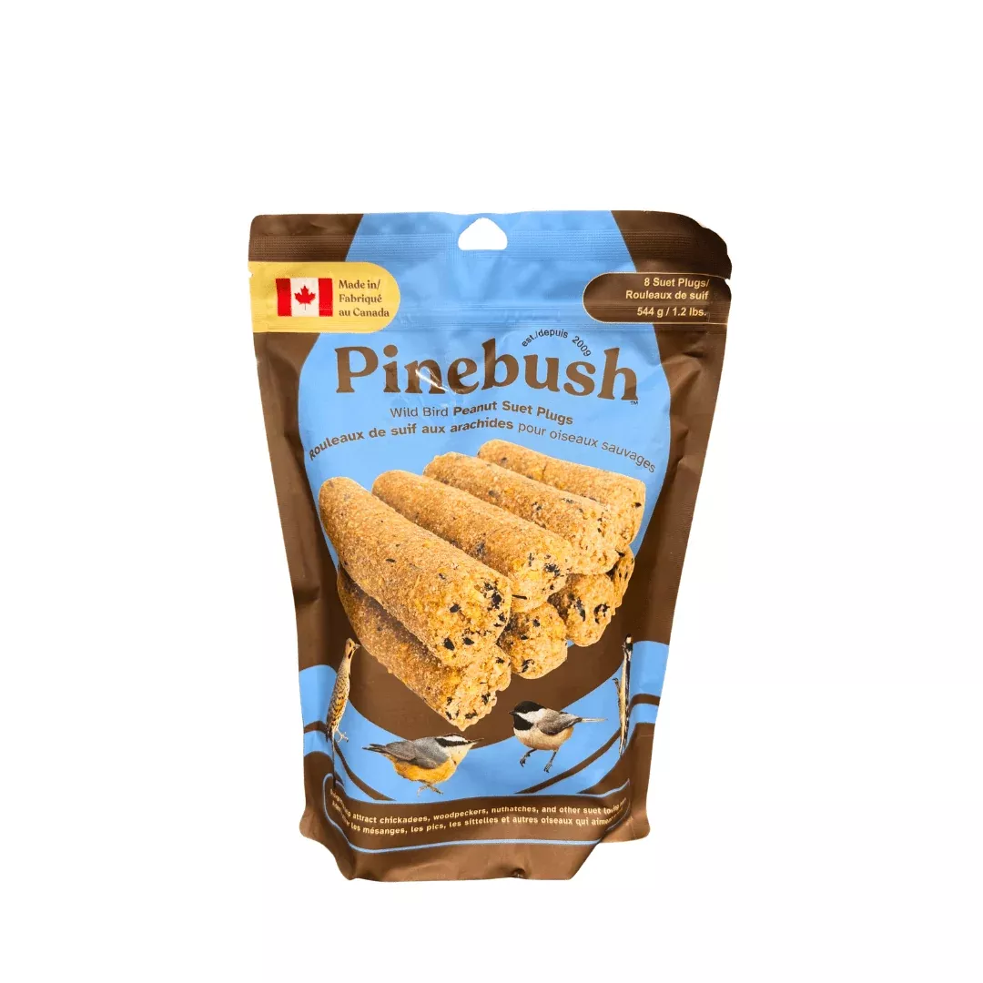 Pinebush Wild Bird Seed Peanut Suet Plugs 8/pk
