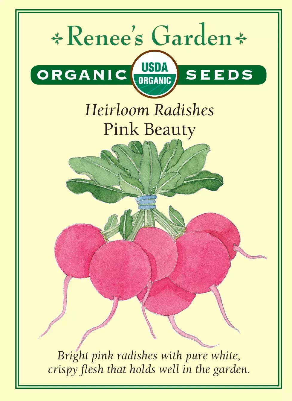 pink-beauty-organic Pink Beauty Organic