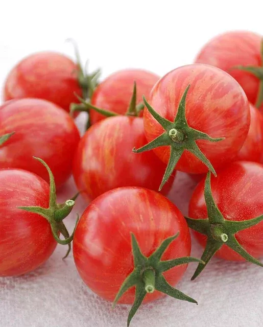 pink-bumble-bee-organic-tomato Pink Bumble Bee Organic Tomato