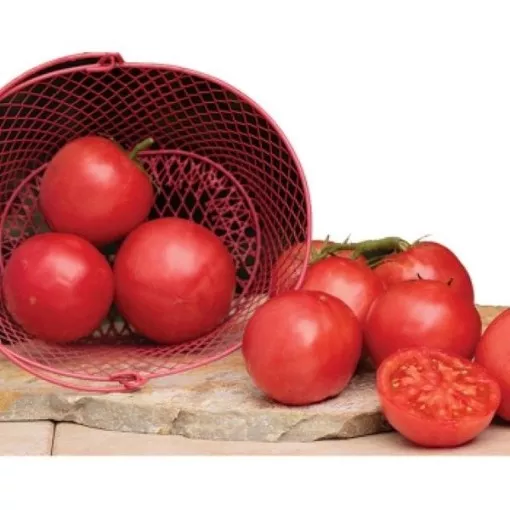 Pink-A-Licious Tomato Seeds