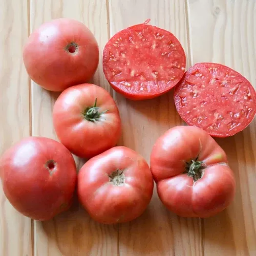pink-ponderosa-tomato Pink Ponderosa Tomato