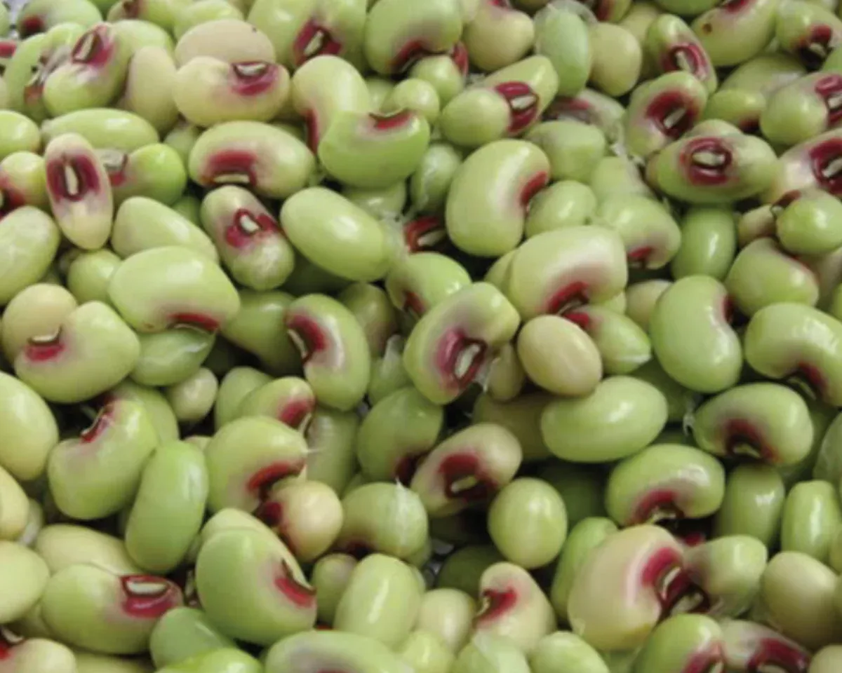 pinkeye-purple-hull-pea-seeds Pinkeye Purple Hull Pea Seeds