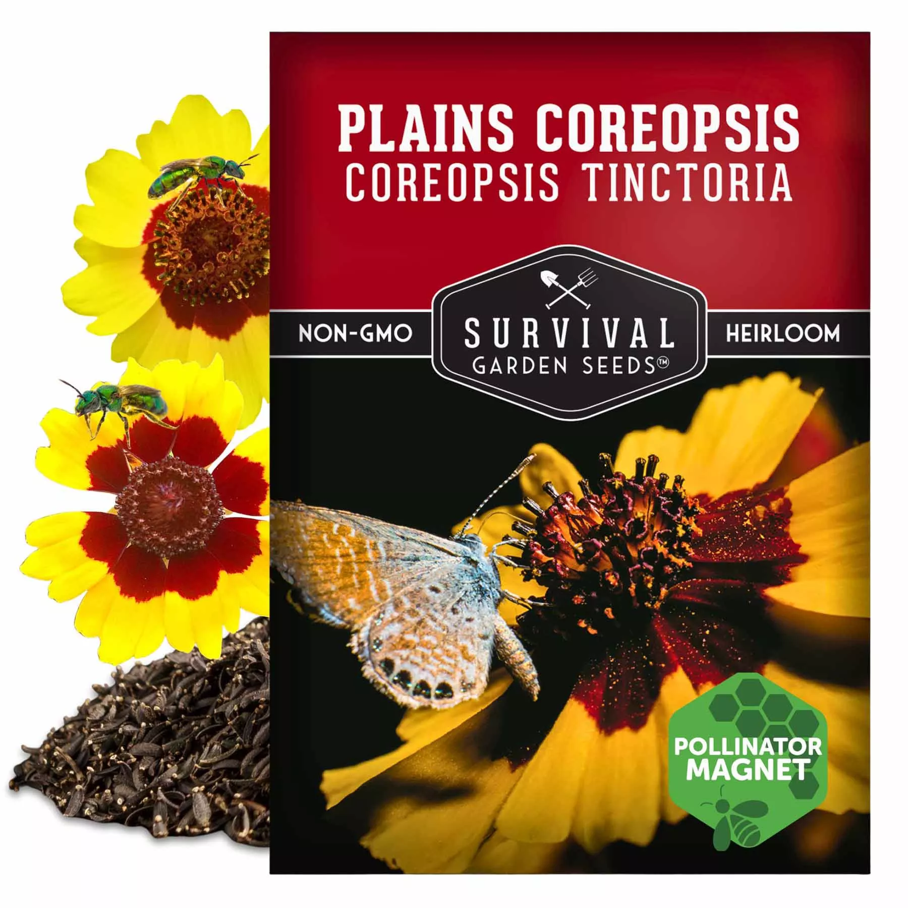 plains-coreopsis-seeds-2026 Plains Coreopsis Seeds 2026