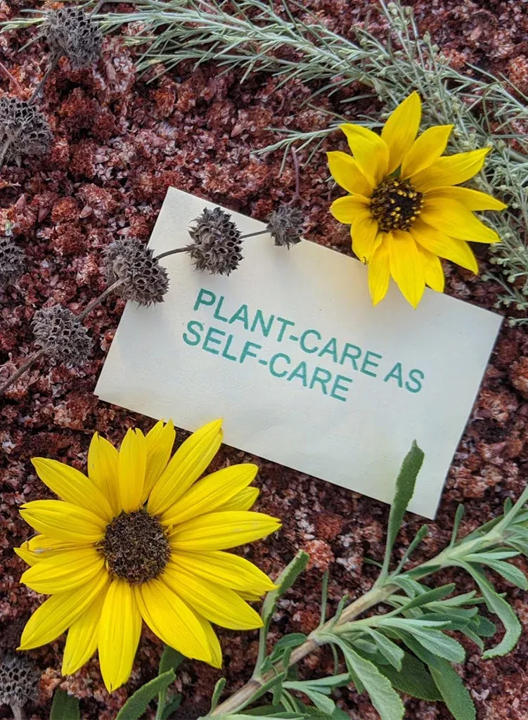 plant-care-as-self-care-seed-mix PLANT-CARE AS SELF-CARE Seed Mix