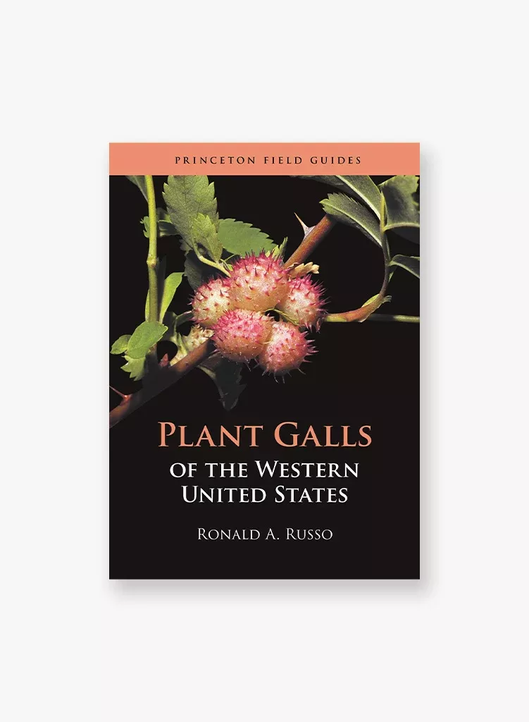 plant-galls-western-united-states Plant Galls of the Western United States