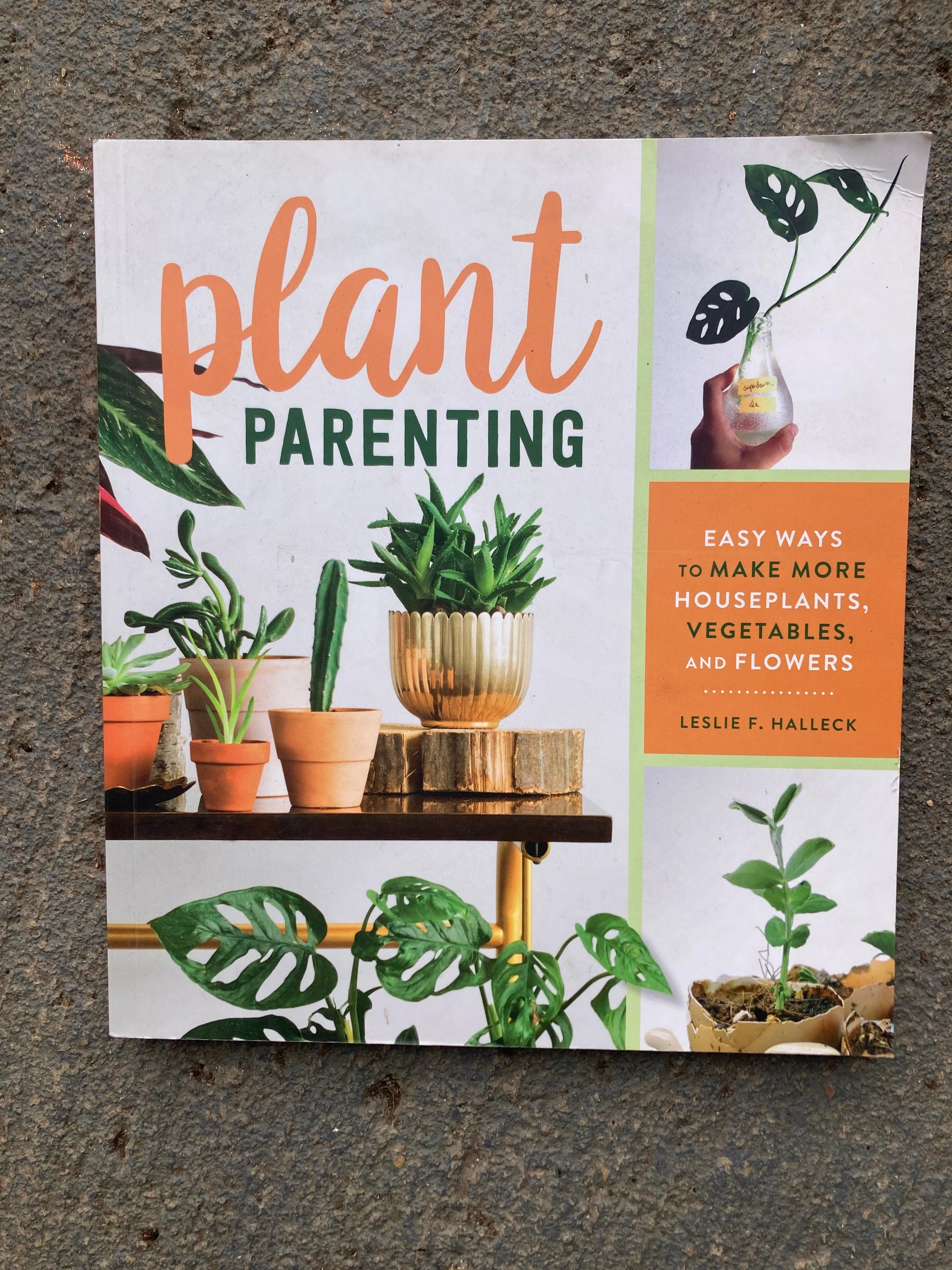 plant-parenting Plant Parenting