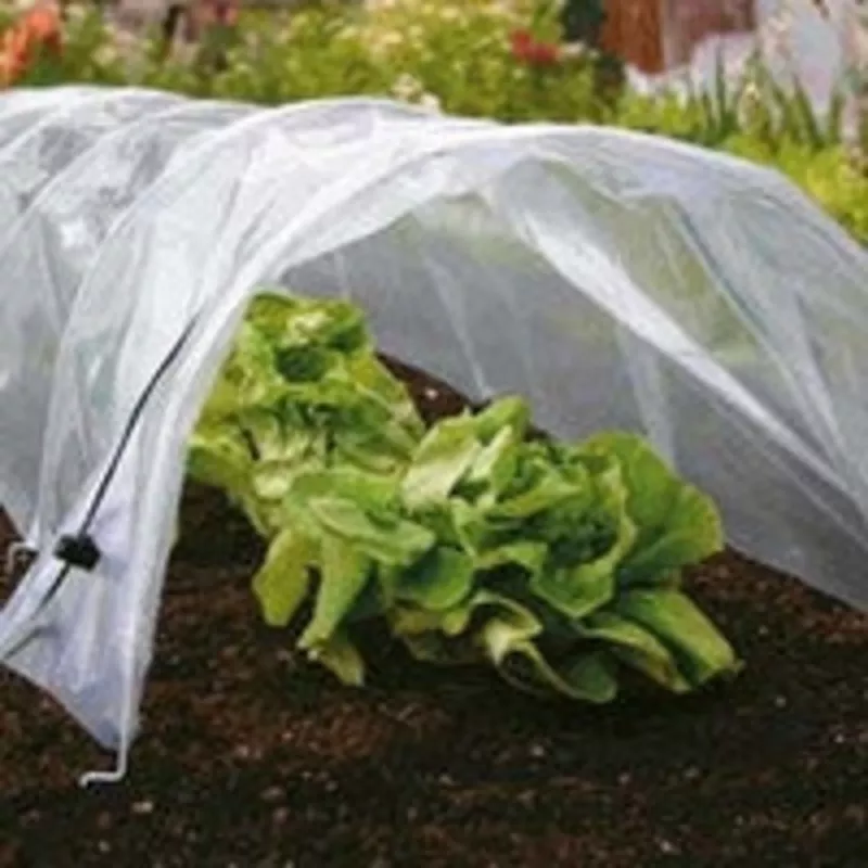 poly-or-fleece-grow-tunnels Poly or Fleece Grow Tunnels