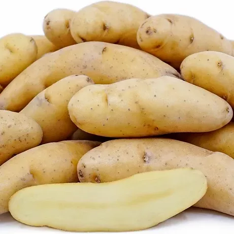 potato-banana-fingerling-potato-1-lb Potato:Banana Fingerling Potato - 1 lb