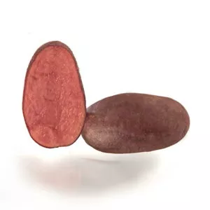 Potato (Early-Season) - Zoe