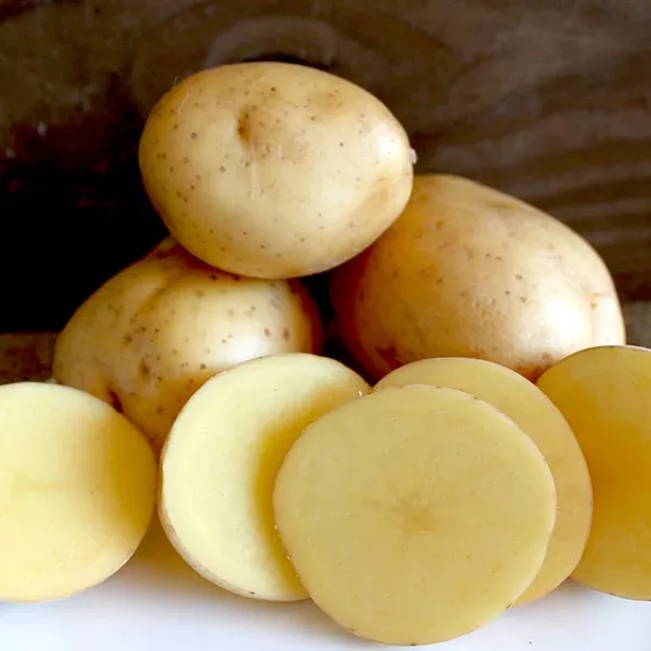 Potato (Late-Season) - Jelly (ORGANIC)