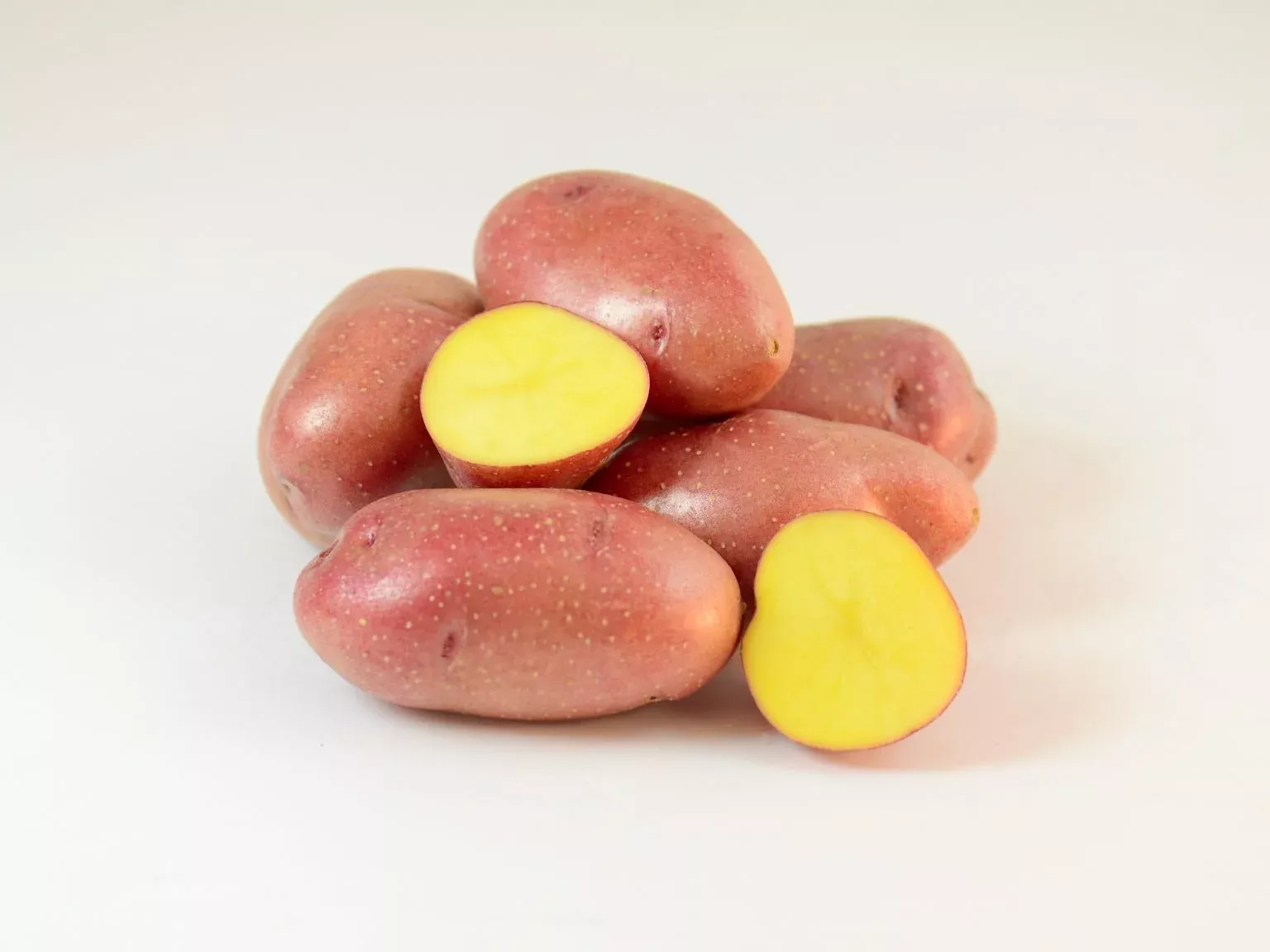 Potato (Late-Season) - Ramona