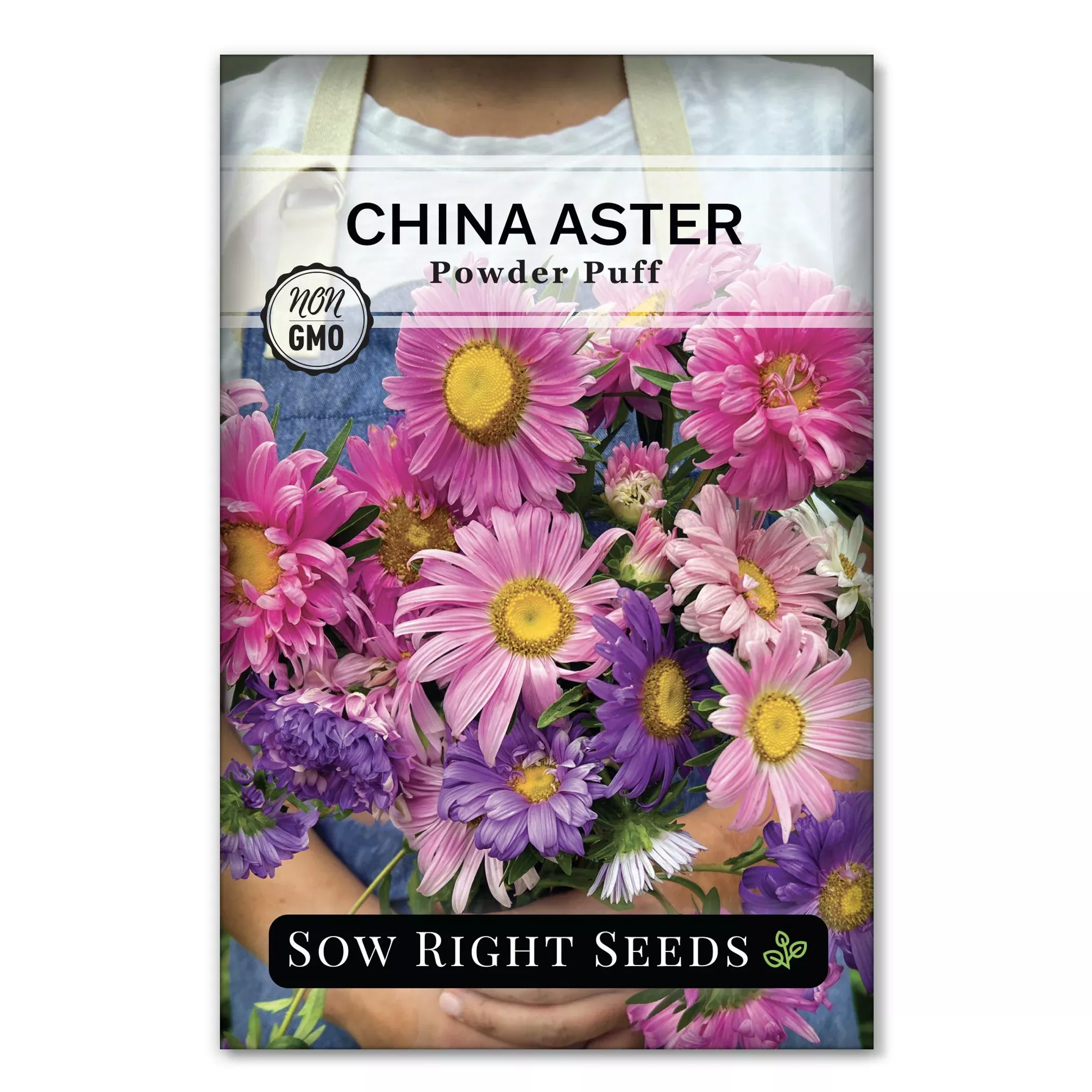 Powder Puff China Aster