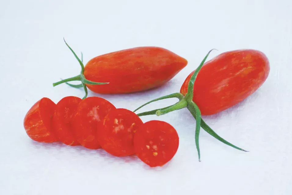prairie-fire-organic-tomatoes Prairie Fire Organic Tomatoes