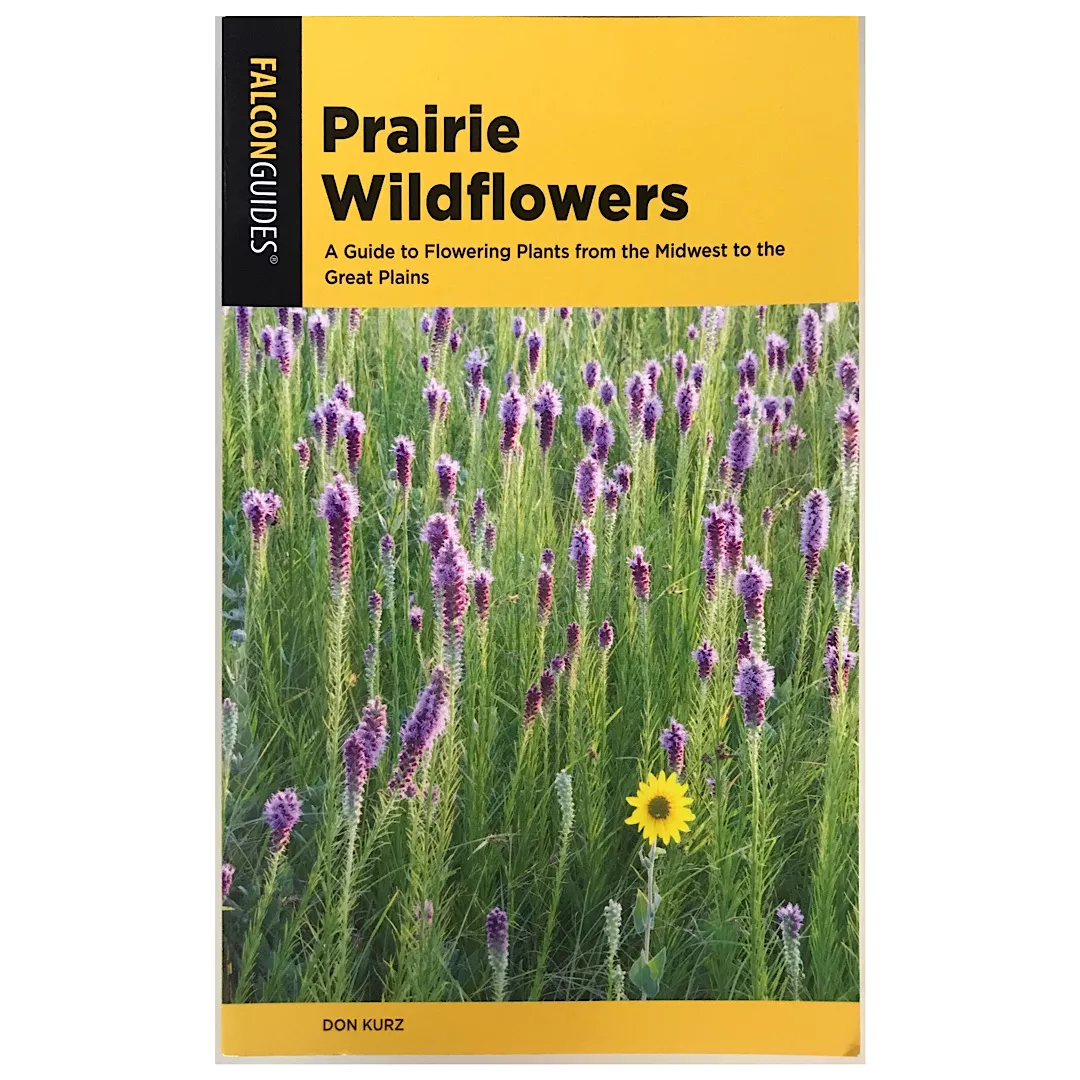 prairie-wildflowers Prairie Wildflowers