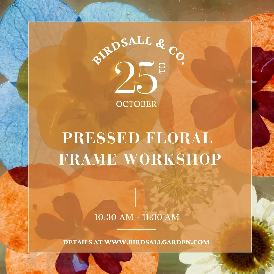 pressed-floral-frame-workshop Pressed Floral Frame Workshop