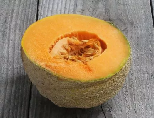 Pride of Wisconsin Muskmelon