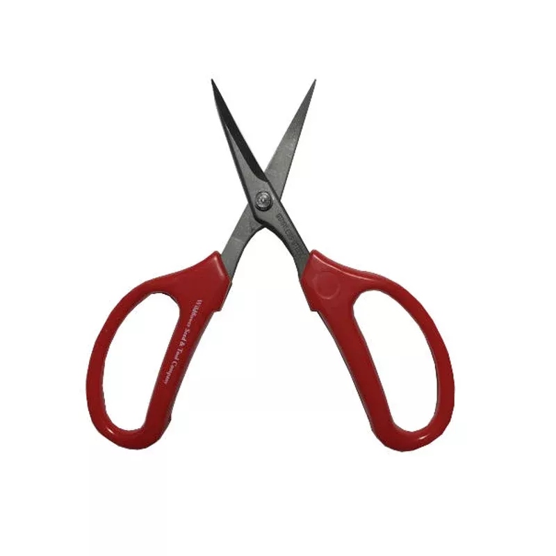 pro-floral-scissors-curved-blades-sale PRO Floral Scissors "Curved Blades"Sale