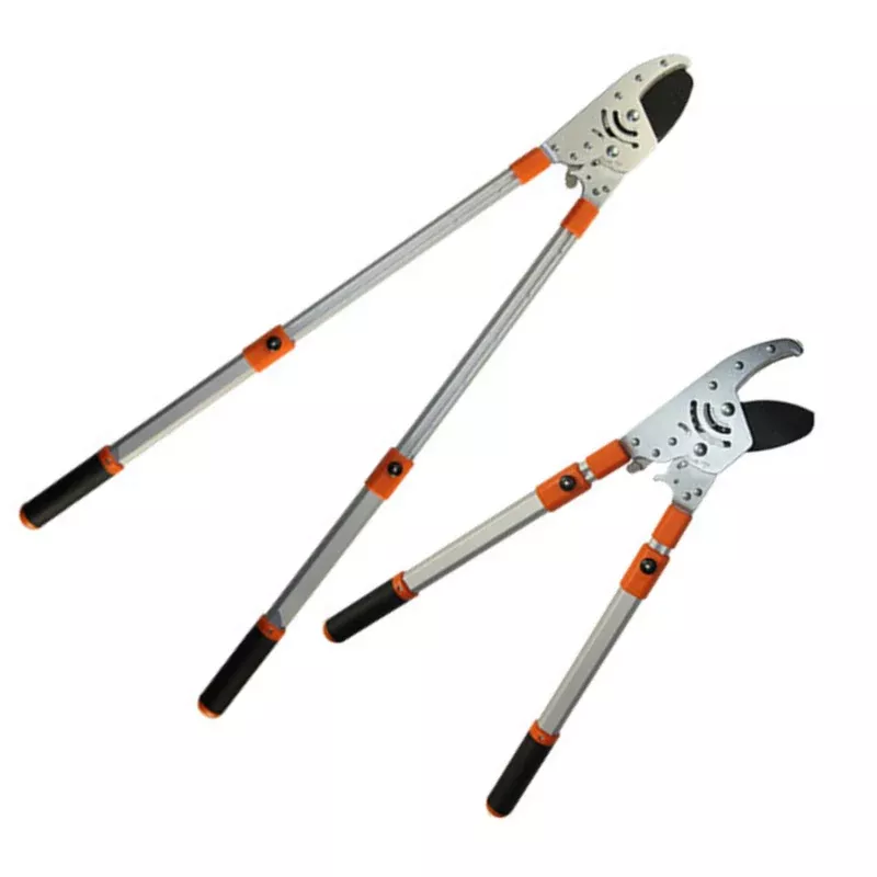 Pro Ratchet Lopper with Telescoping HandlesSale