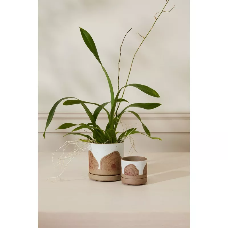 protea-pot-set-8-by-accent-decor-white Protea Pot Set of 8 By Accent Decor White