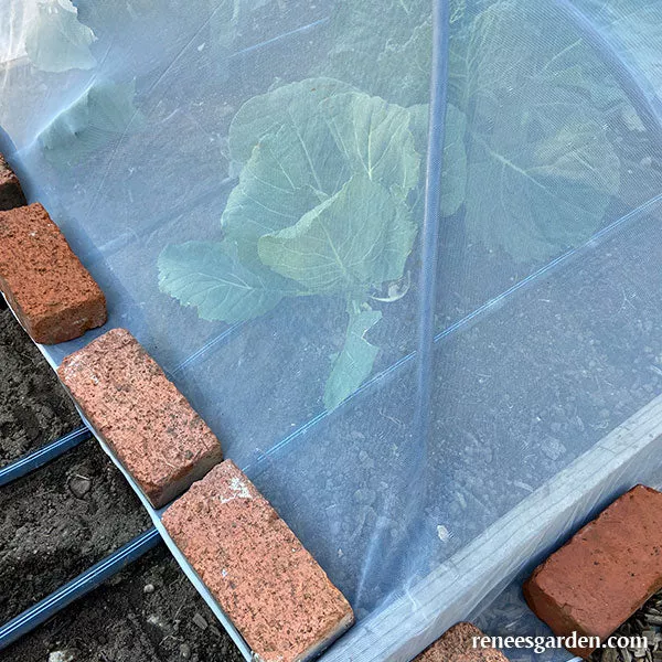 proteknet-insect-barrier-netting ProtekNet Insect Barrier Netting