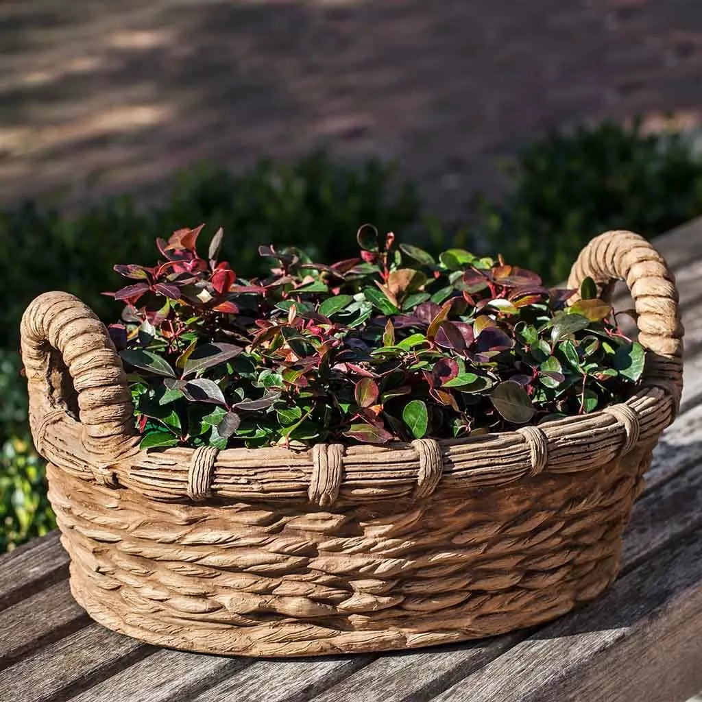 Provencal Basket Garden Planter