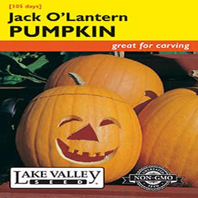 pumpkin-jack-o-lantern Pumpkin (Jack O' Lantern)