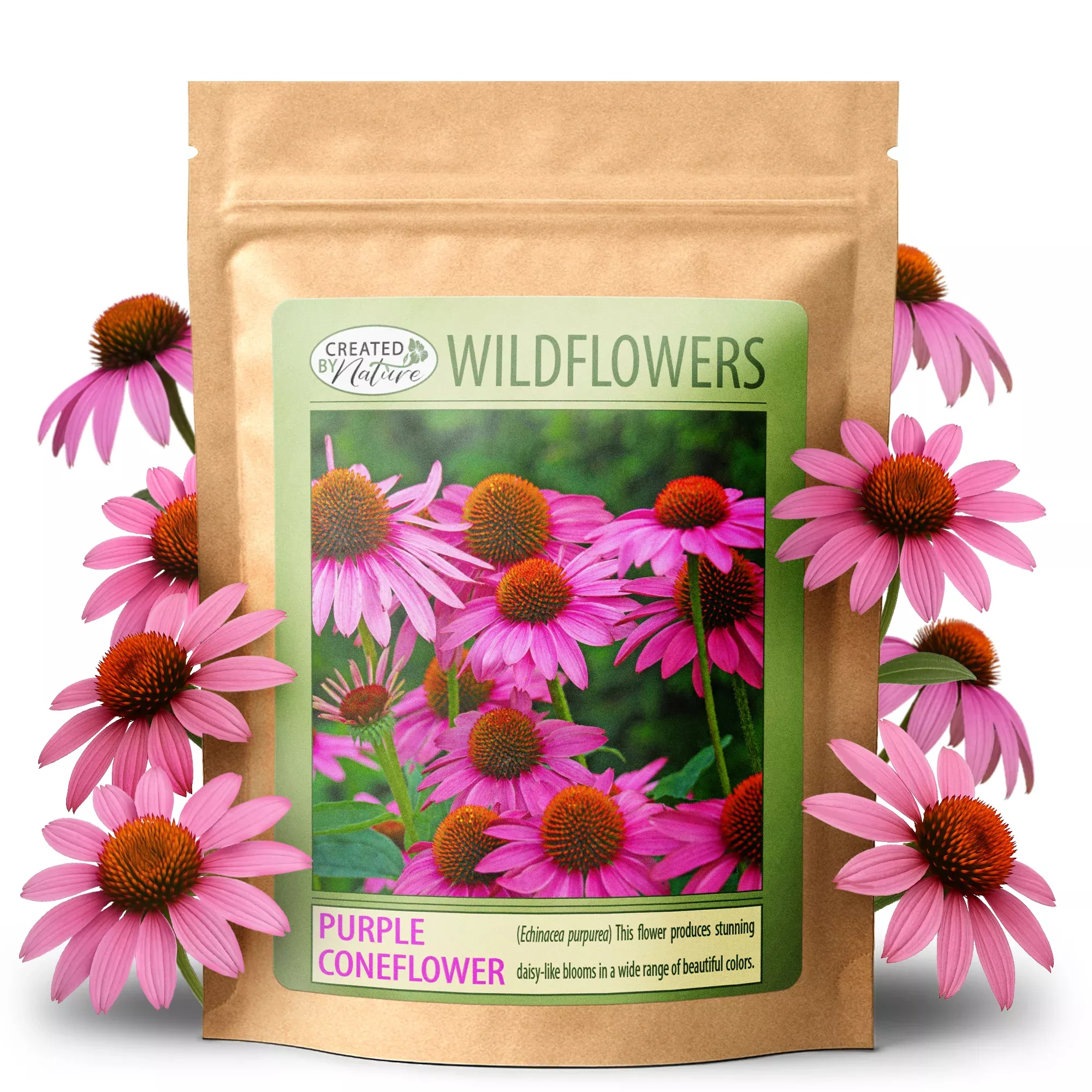 Purple Coneflower Wildflower Seeds