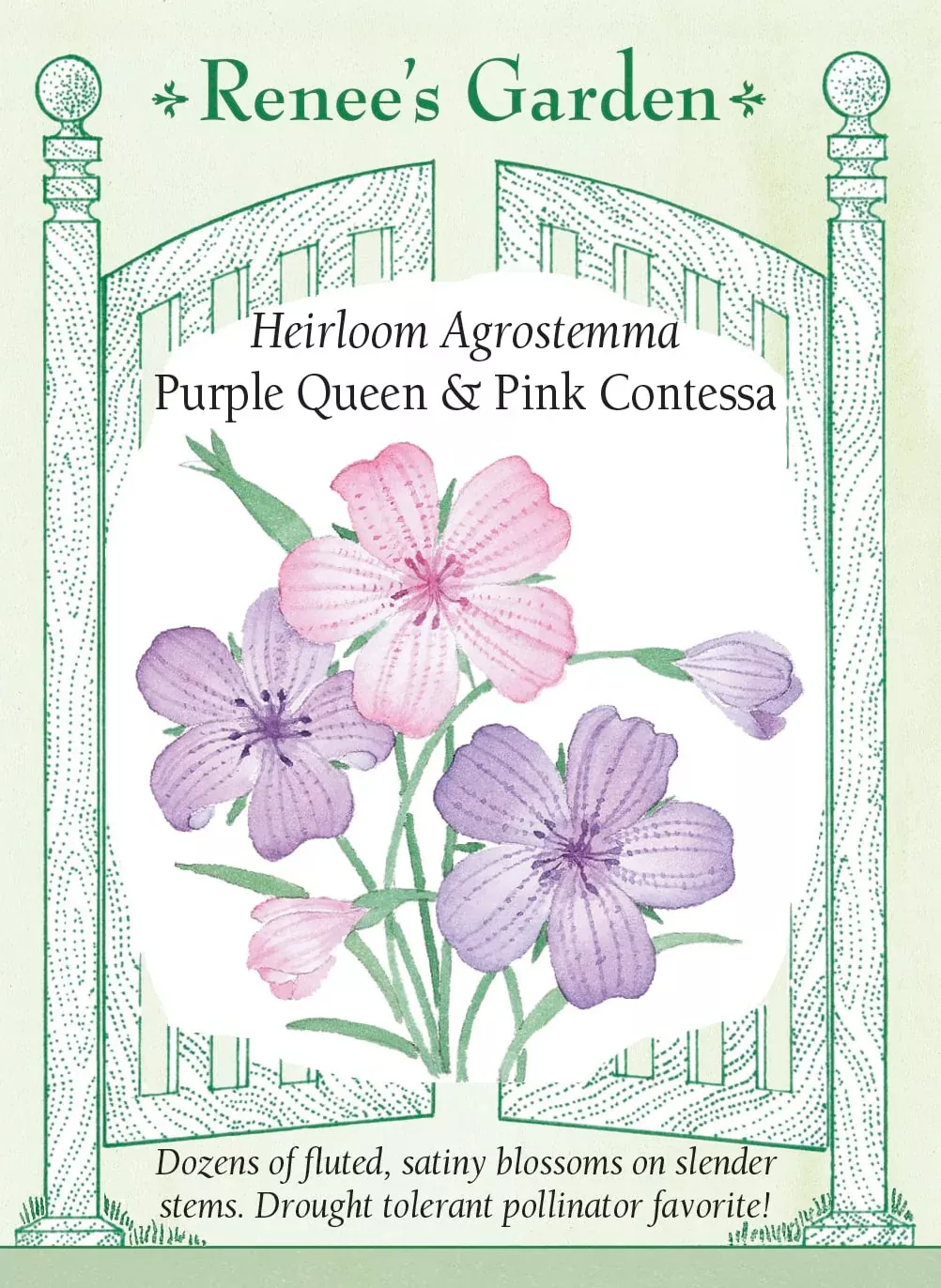 purple-queen-pink-contessa Purple Queen and Pink Contessa