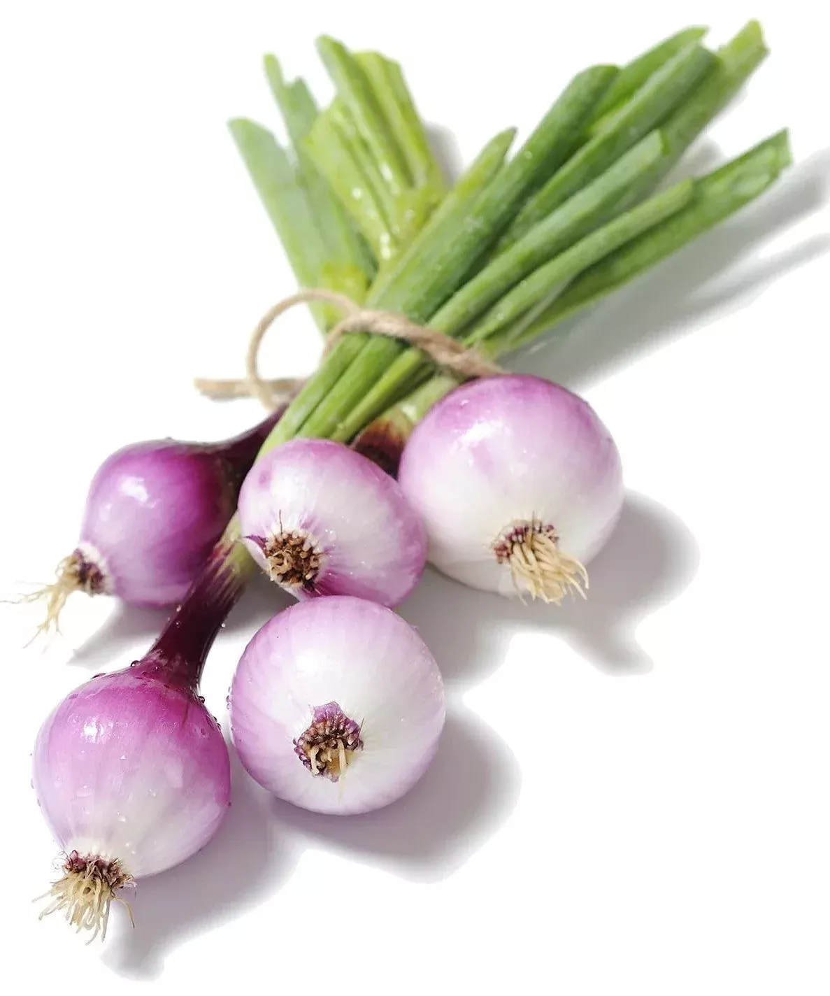 purplette-onion-allium-cepa-seeds Purplette Onion - Allium cepa Seeds
