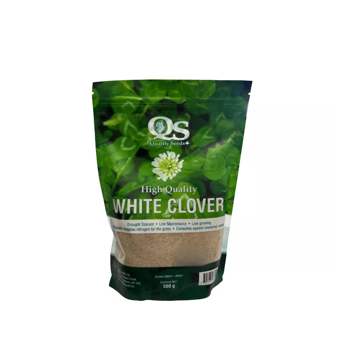 quality-seeds-white-dutch-clover-500g Quality Seeds White Dutch Clover 500g