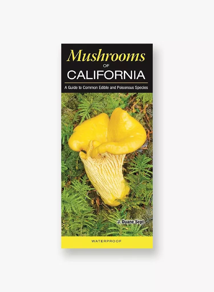 quickreference-mushrooms-california QuickReference - Mushrooms of California