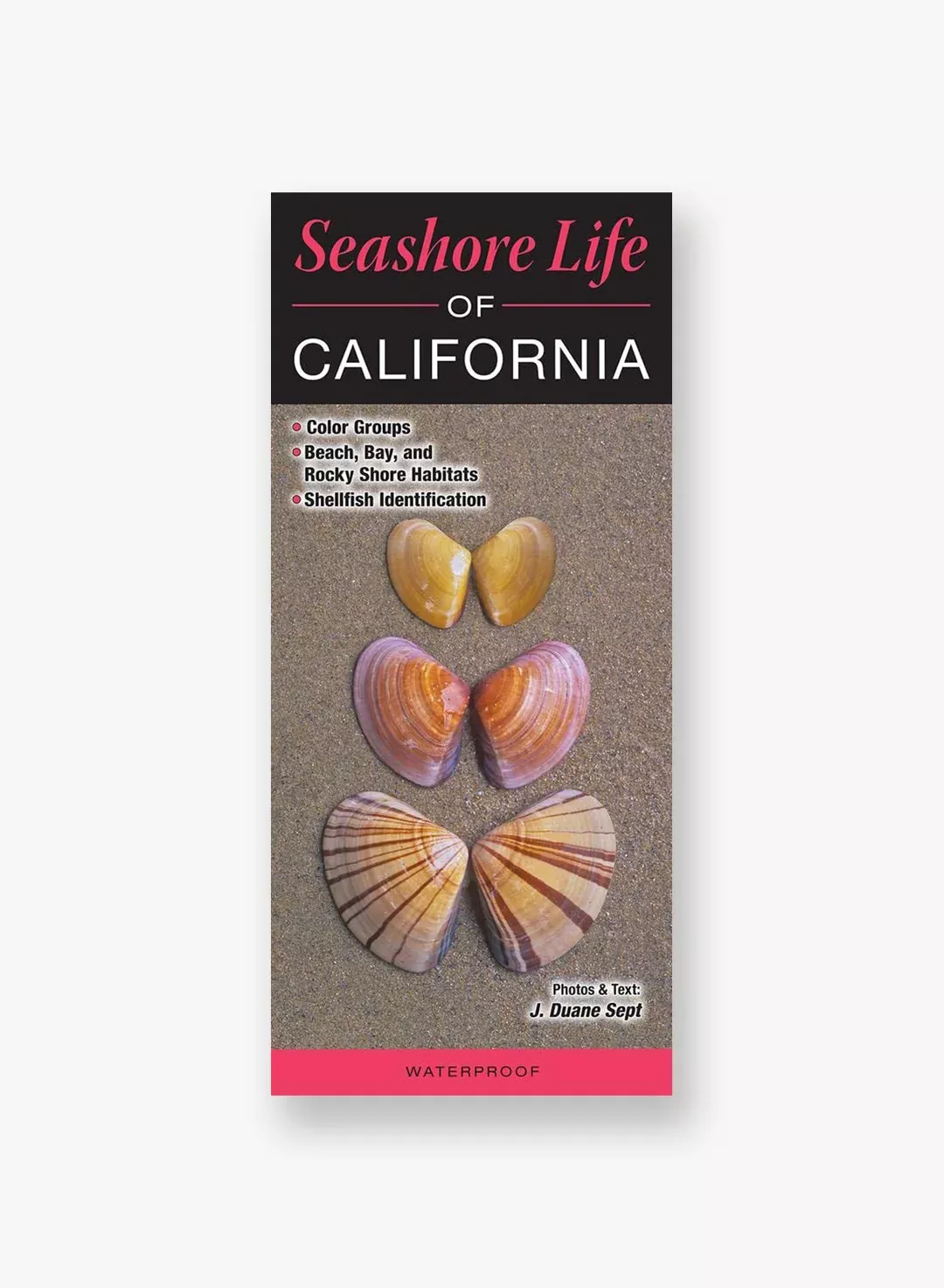 quickreference-seashore-life-california QuickReference - Seashore Life of California