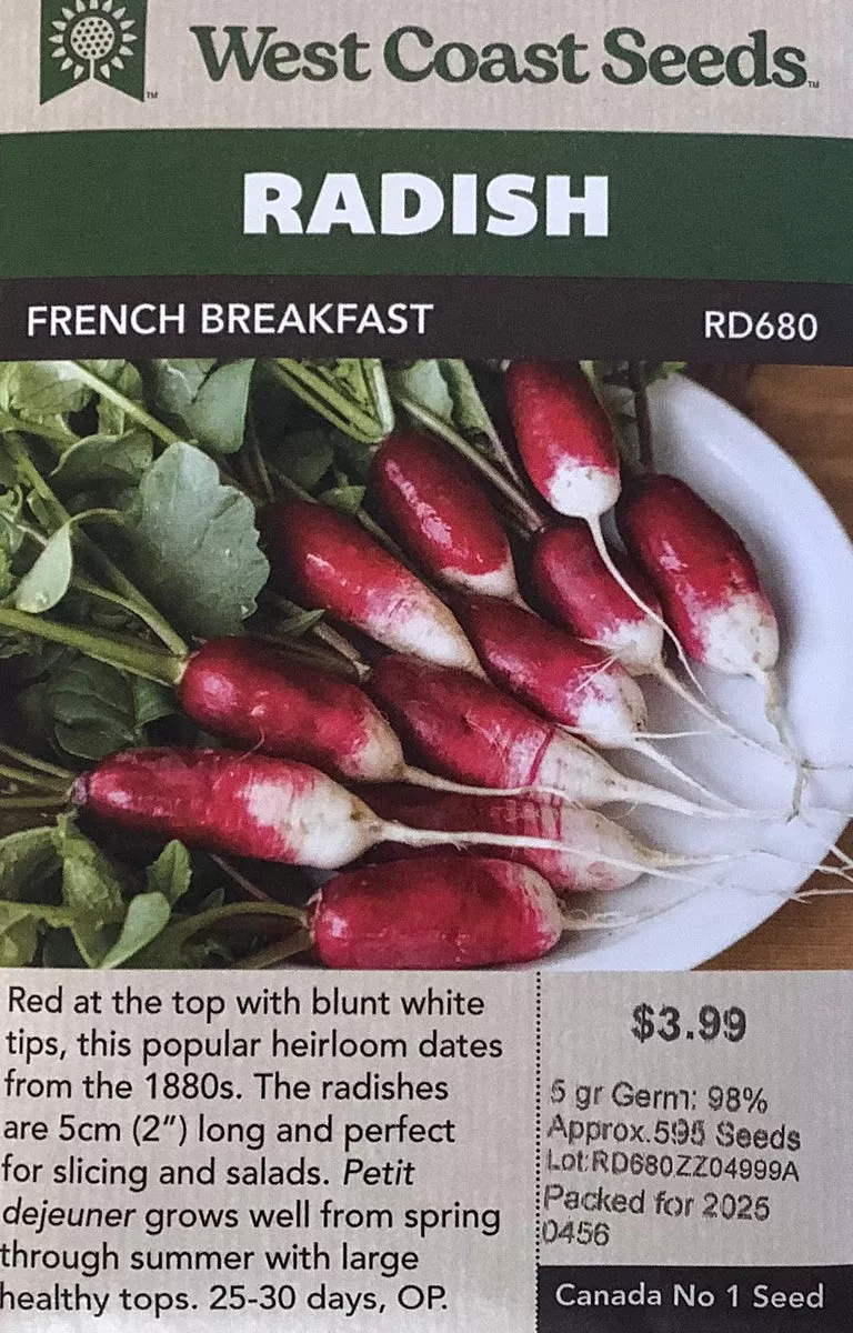 Radishes - French Breakfast