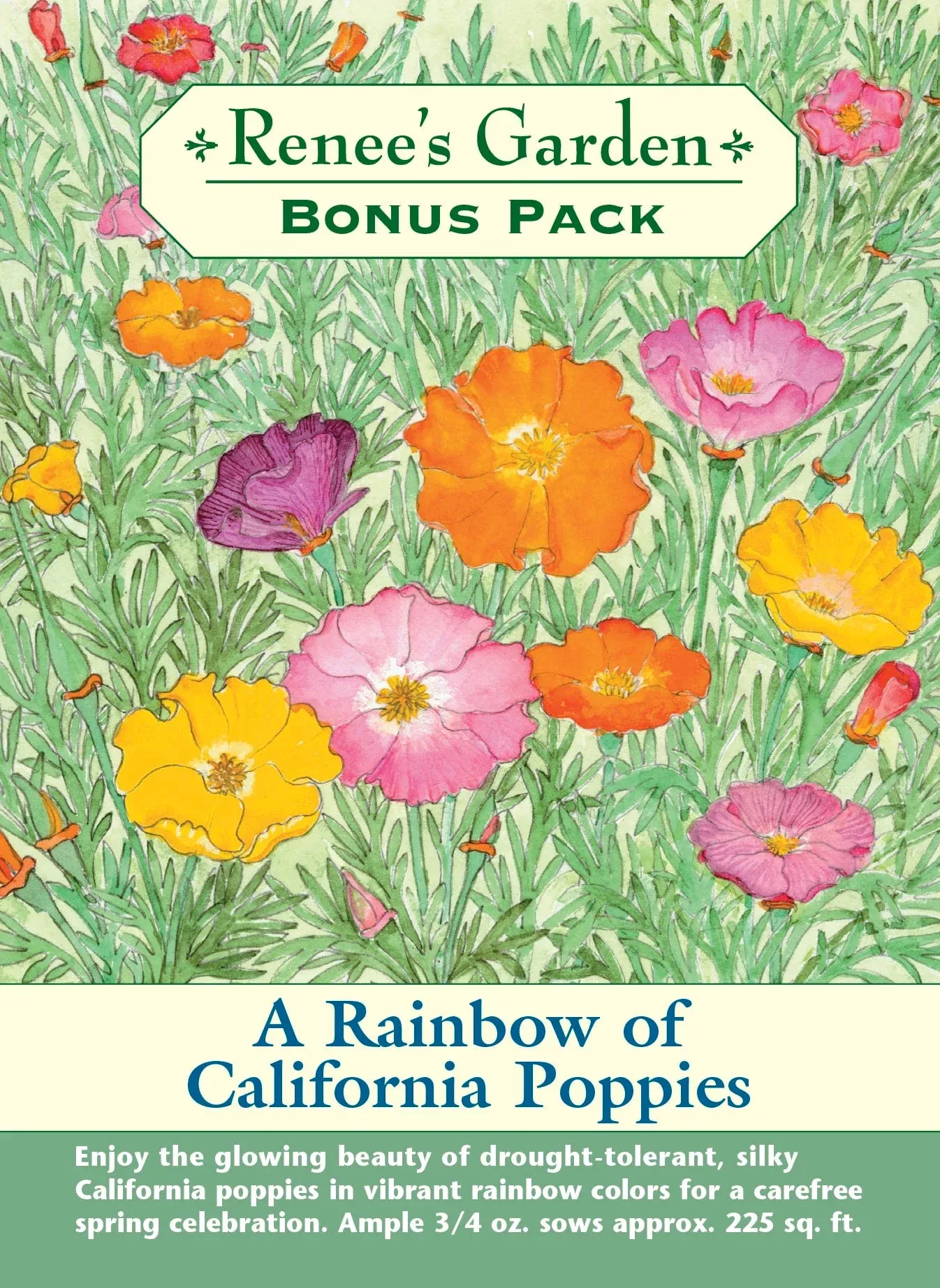 rainbow-california-poppies A Rainbow of California Poppies